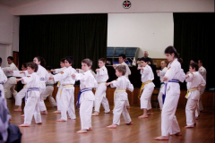 Karate Classes