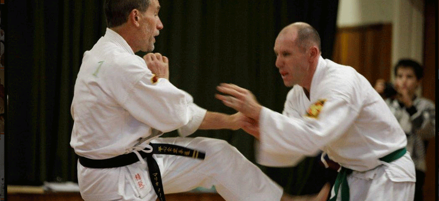 4.gif