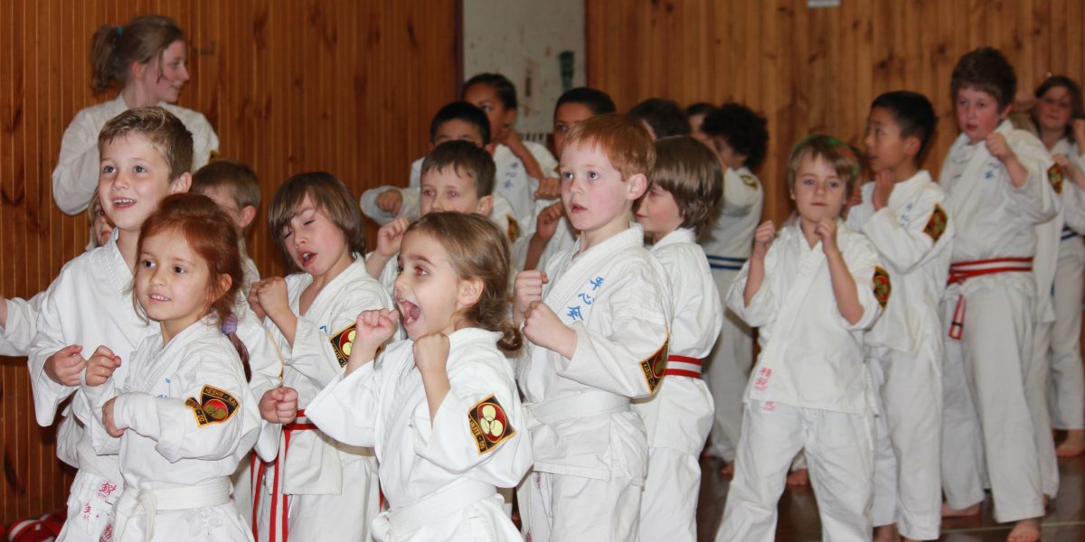 Children's Karate Class