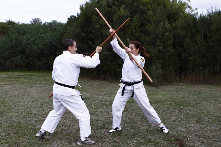 Kobudo Weapons Class